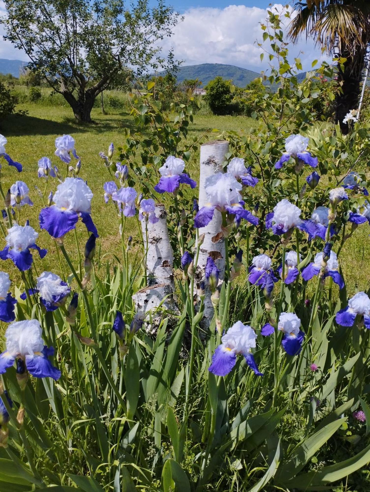 La Verdine Vérin Εξωτερικό φωτογραφία